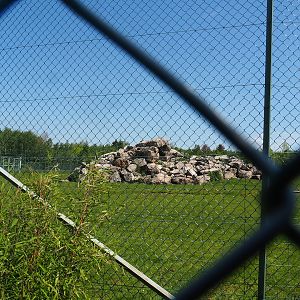 Tajik markhor and White-naped crane exhibit, 2023-05-19