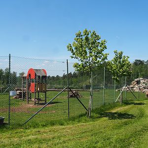 Tajik markhor and White-naped crane exhibit, 2023-05-19
