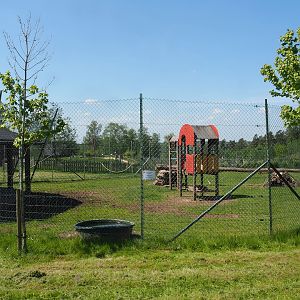 Tajik markhor and White-naped crane exhibit - Area with shelter and petting zoo paddock, 2023-05-19