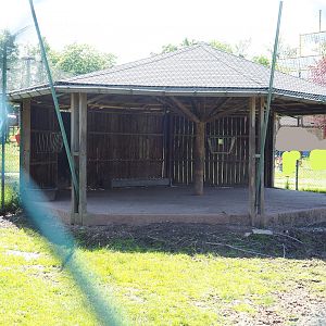 Tajik markhor and White-naped crane exhibit - Shelter, 2023-05-19