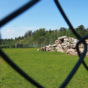 Tajik markhor and White-naped crane exhibit, 2023-05-19