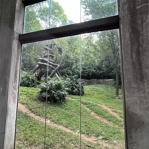 Chimpanzee Habitat Uphill View