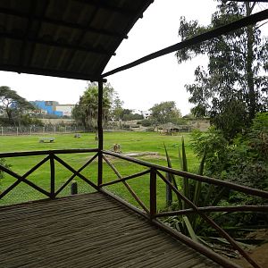 Pampa Galera exhibit - Parque de Las Leyendas