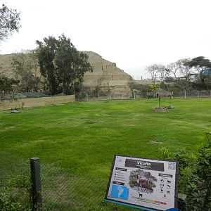Pampa Galera exhibit - Parque de Las Leyendas