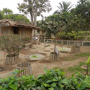 Mixed exhibit - Parque de Las Leyendas