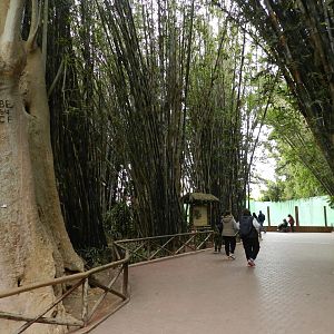 Pathways - Parque de Las Leyendas