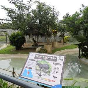 Capybara exhibit - Parque de Las Leyendas
