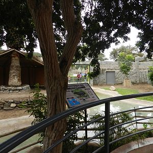 Capybara exhibit - Parque de Las Leyendas