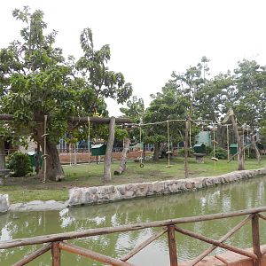 Mixed species island - Parque de Las Leyendas