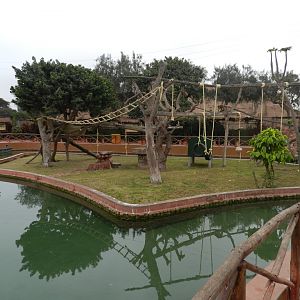 Monkey island - Parque de Las Leyendas