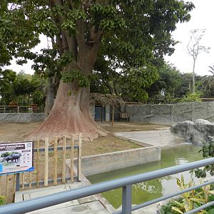 Brazilian tapir exhibit - Parque de Las Leyendas