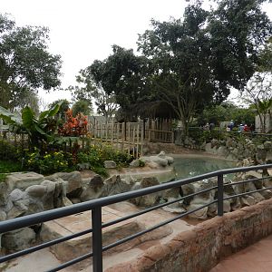 Brazilian tapir exhibit - Parque de Las Leyendas