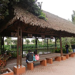 Observation hut - Parque de Las Leyendas
