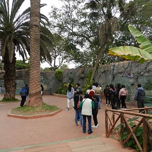 Giant otter exhibits - Parque de Las Leyendas
