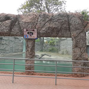 Giant otter exhibit I - Parque de Las Leyendas