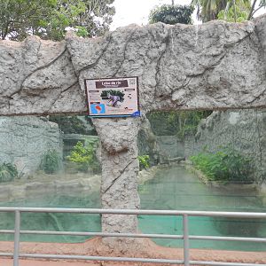 Giant otter exhibit II - Parque de Las Leyendas