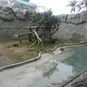 Jaguar exhibit - Parque de Las Leyendas
