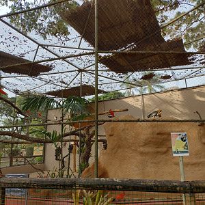 Renovated aviary - Belo Horizonte zoo