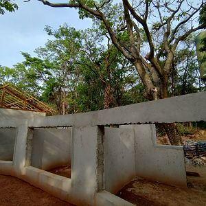 Cub exhibits under construction - Belo Horizonte zoo
