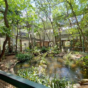 Central exhibit of the aquarium - Belo Horizonte zoo