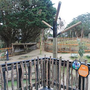 new fencing in African Savannah enclosure