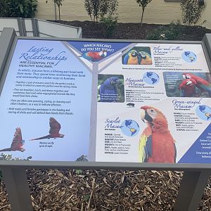 Macaw signage by outdoor macaw exhibit