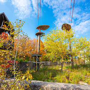 Orangutan outdoor exhibit