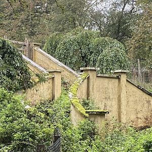 Old over grown staircase / slope near warehouse area