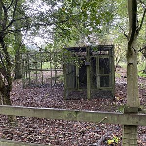 Disused aviary, Owl wood, ZSL Whipsnade