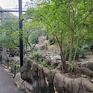 Oct. 2023 - Wilds of Africa - Forest Aviary
