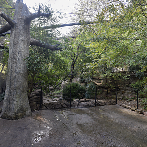 Oct. 2023 - Wilds of Africa - Forest Aviary