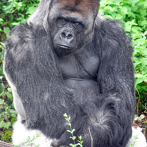 Oct. 2023 - Wilds of Africa - Juba