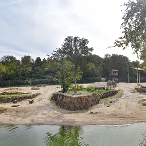 Oct. 2023 - Giants of the Savanna - South Habitat - Elephant Exhibit Panorama
