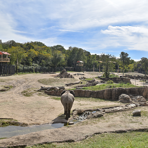 Oct. 2023 - Giants of the Savanna - South Habitat - Elephant Exhibit Panorama