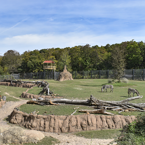 Oct. 2023 - Giants of the Savanna - North Habitat