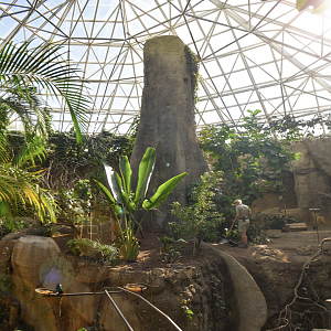 Oct. 2023 - World of Primates - Aviary