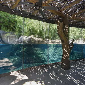Oct. 2023 - African Savanna - Hippo Exhibit Panorama