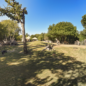 Oct. 2023 - African Savanna - Main Savanna