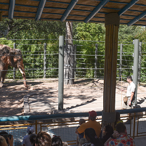 Oct. 2023 - Elephant Springs - Elephant Demonstration Area