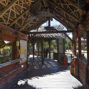 Oct. 2023 - Elephant Springs - Main Elephant Viewing