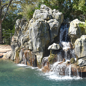 Oct. 2023 - Elephant Springs - South Habitat Waterfall