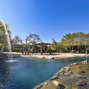 Oct. 2023 - Elephant Springs - South Habitat