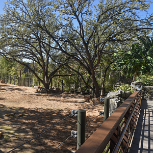 Oct. 2023 - Elephant Springs - First Indian Rhino Exhibit & Viewing