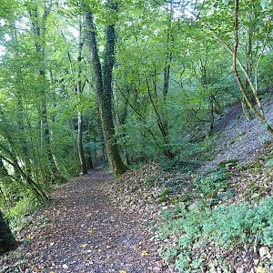 "Badger Trail" - Walking trail to the wildlife park, 2023-09-26