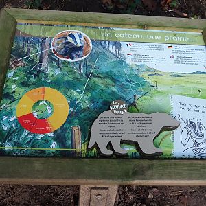 European badger ecology signage, 2023-09-26