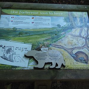 European badger ecology signage, 2023-09-26