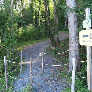 "Badger Trail" - Walking trail to the wildlife park, 2023-09-26