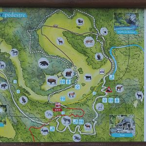 Map of the wildlife park, 2023-09-26