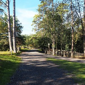 Walkways near the wild boar paddock, 2023-09-26
