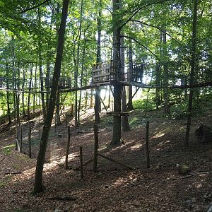 Canopy trail and Arctic fox exhibit, 2023-09-26